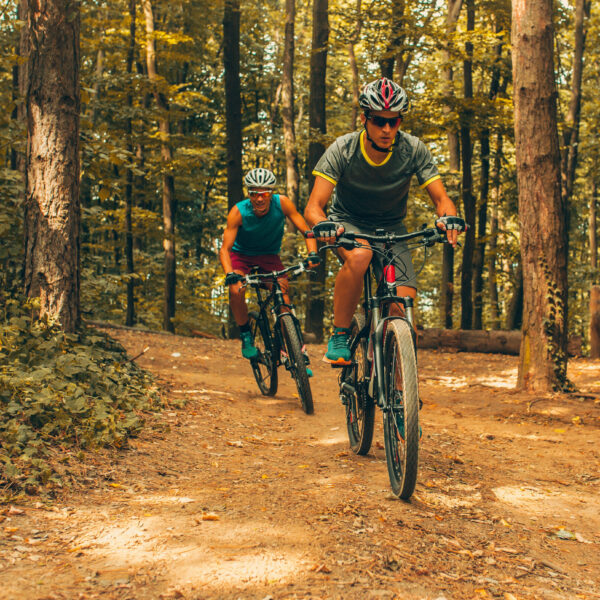 Two mountain bikers riding bike in the forest on dirt road.