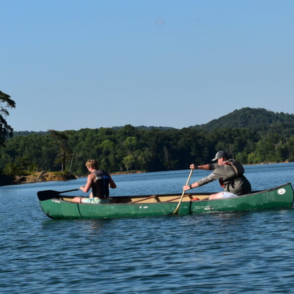 DSC_0810 DSC_0810